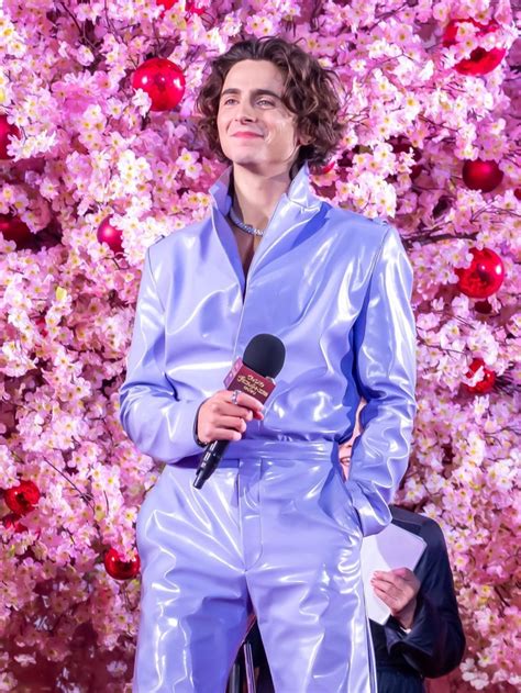 timothée chalamet prada|wonka timothee Chalamet.